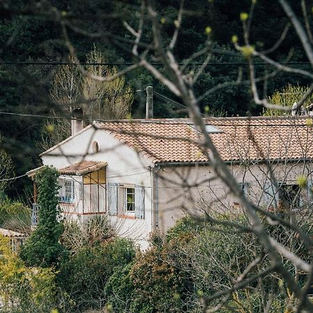 Maison D'Hotes Eco-Responsable Avec Piscine 6X12M Châteaudouble Exterior foto