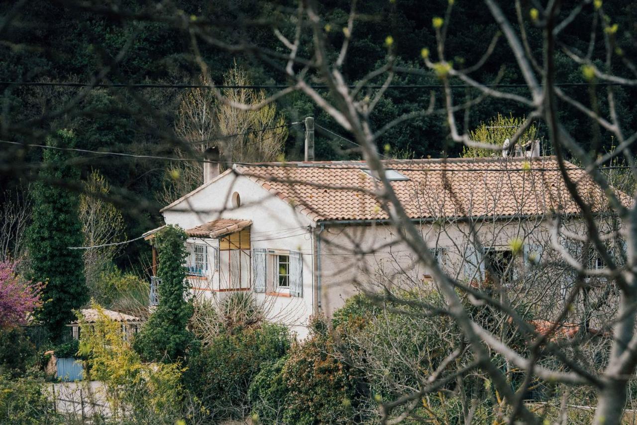 Maison D'Hotes Eco-Responsable Avec Piscine 6X12M Châteaudouble Exterior foto