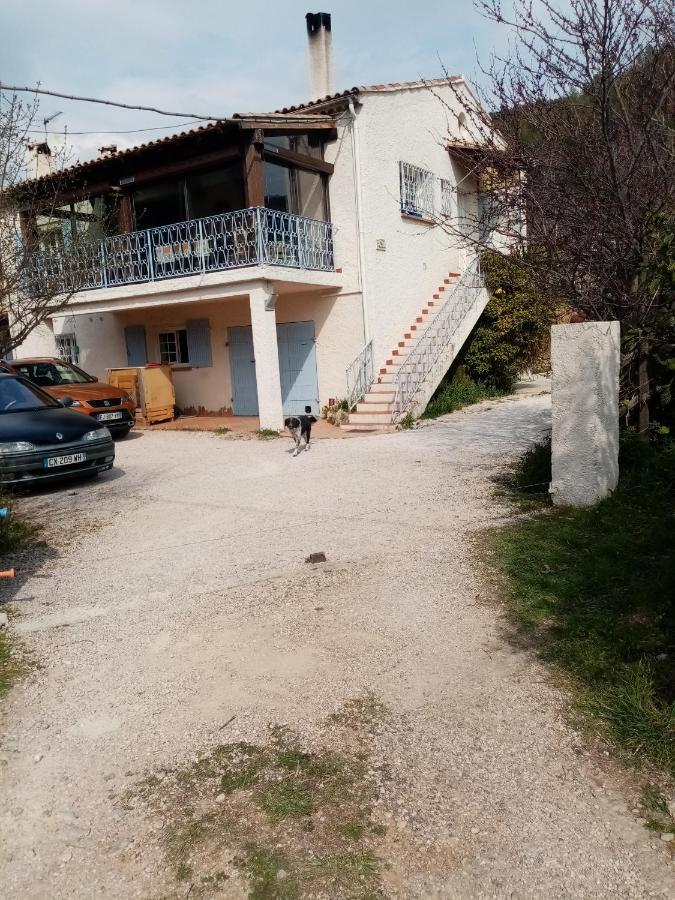 Maison D'Hotes Eco-Responsable Avec Piscine 6X12M Châteaudouble Exterior foto